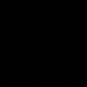 Meet your Posher, Audrey